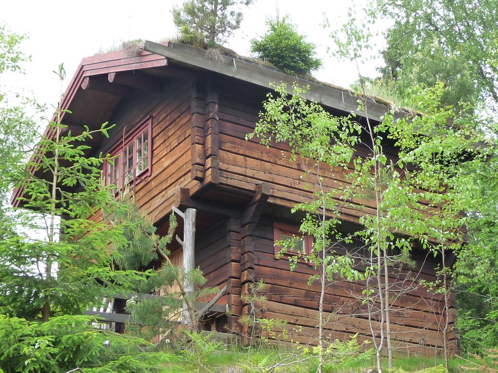 Kynnefjaellsnatur Hedekas Luaran gambar