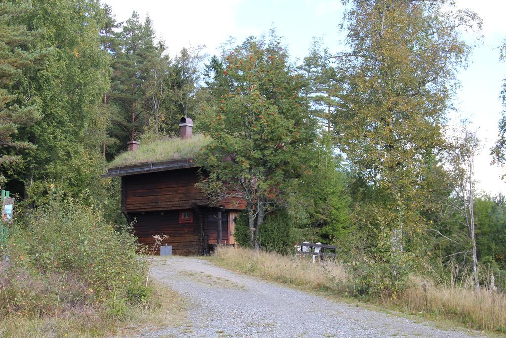 Kynnefjaellsnatur Hedekas Luaran gambar